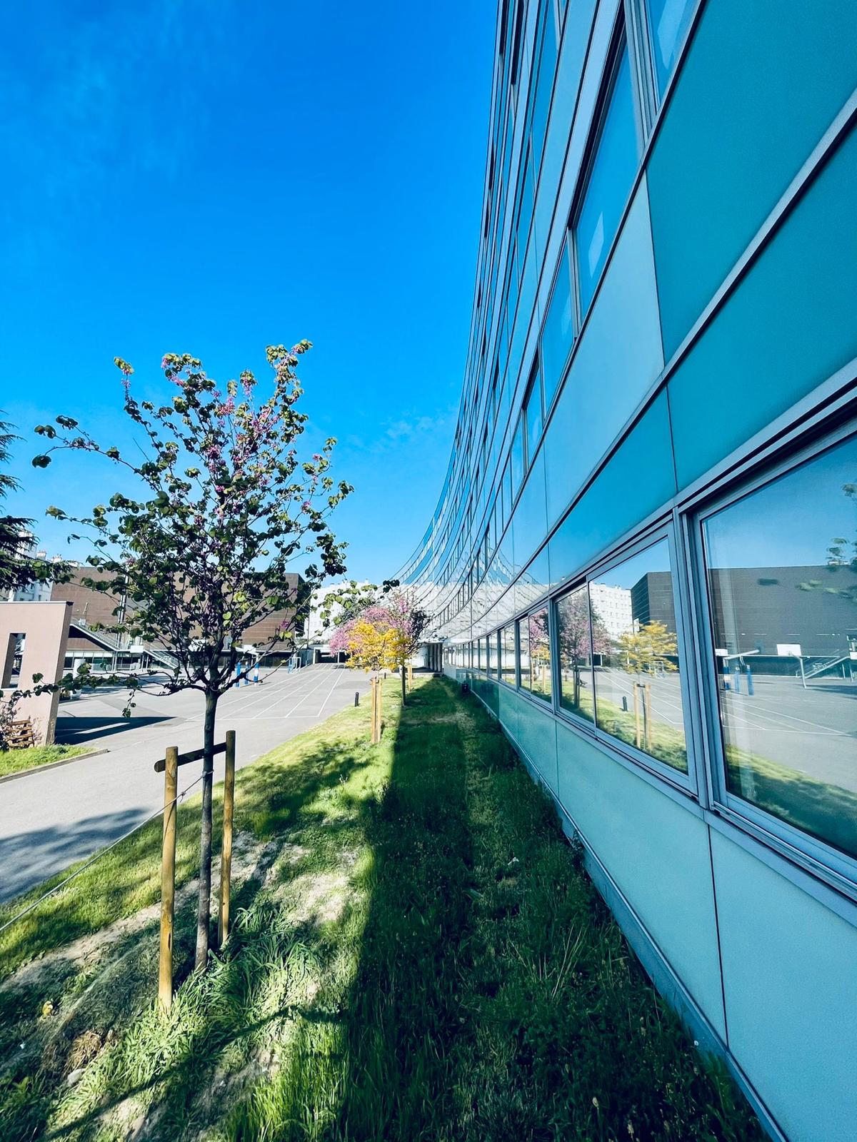 Courbure du bâtiment du lycée avec bordure arborée et le gymnase au fond, à gauche.